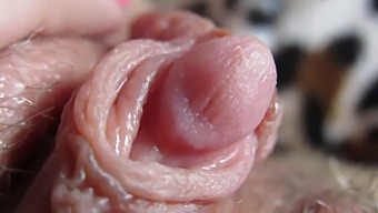 Feel The Intense Pleasure Of My Pulsating Clit Head With This Close-Up Video